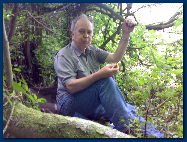 600x449 pixels (170K)